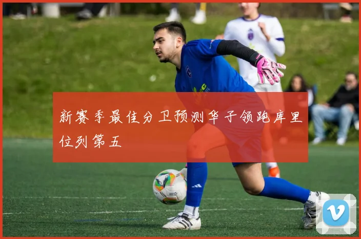 新赛季最佳分卫预测华子领跑库里位列第五